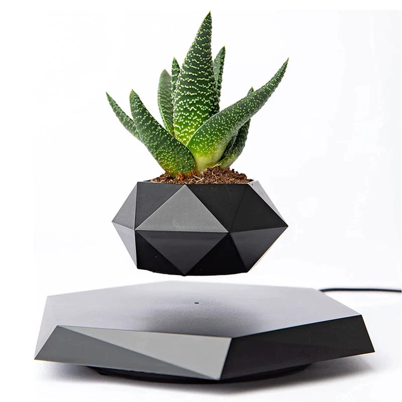 3D Levitating Plant Pot